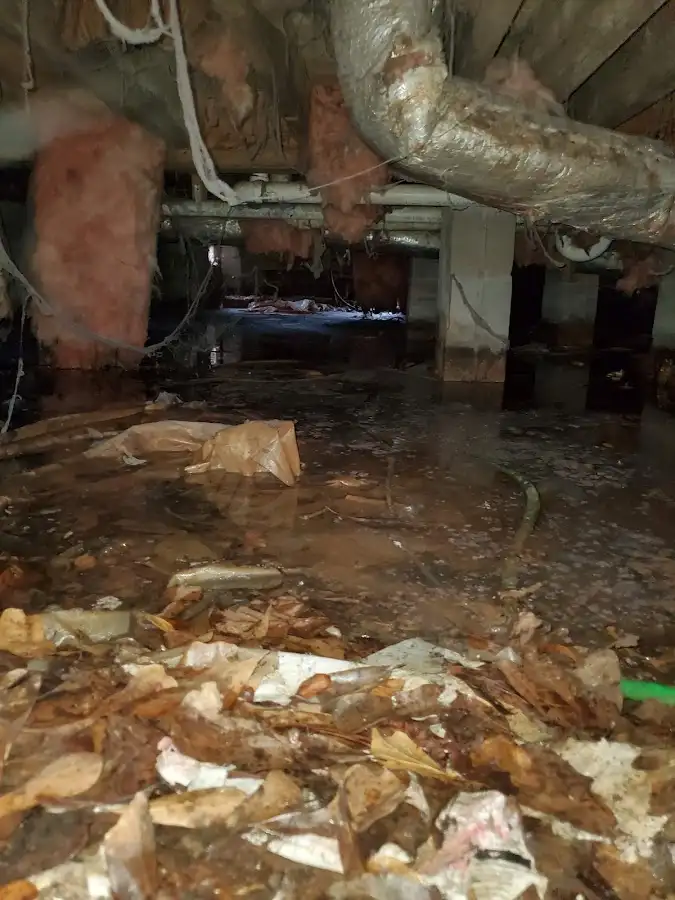 Crawl space flood assessment for Leak Detection & Repair in San Bruno